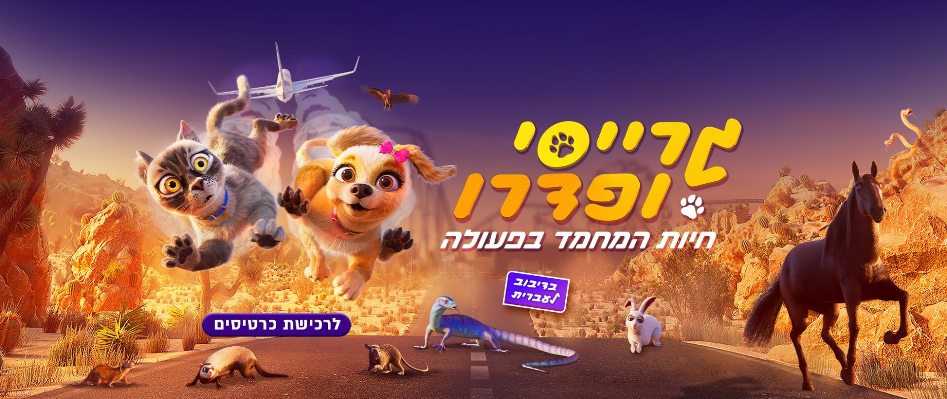 באנר